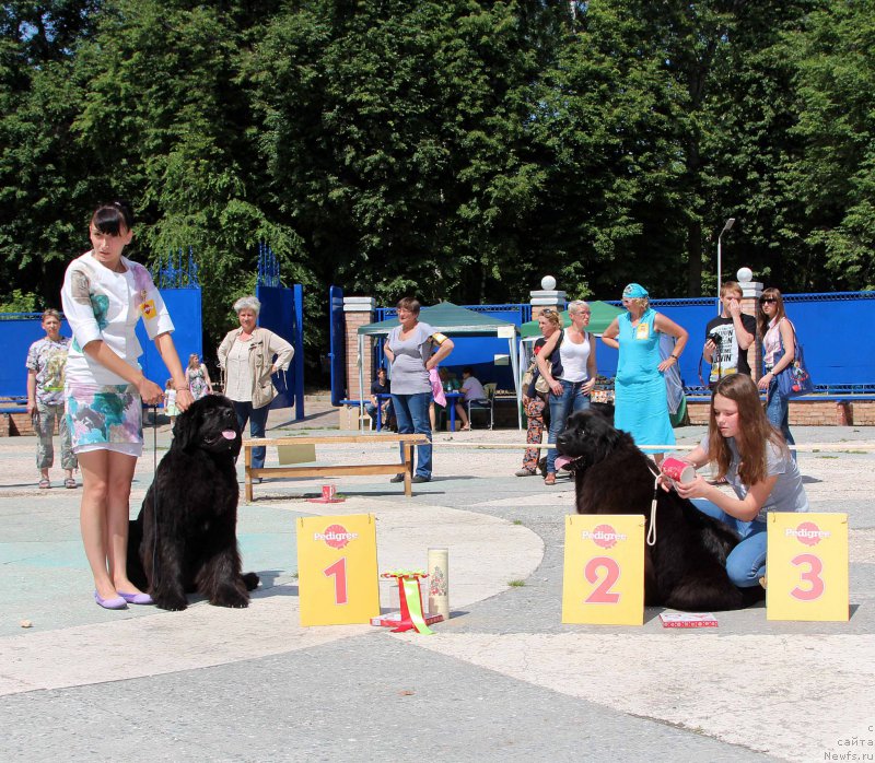 Фотография № 184770