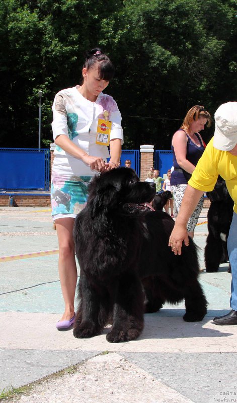 Фотография № 184771