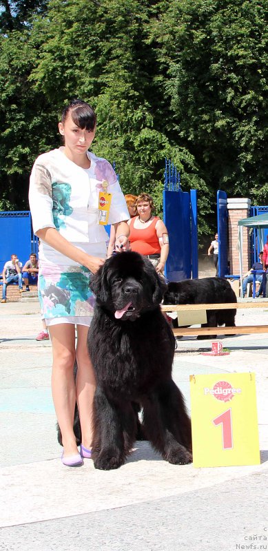 Фотография № 184772