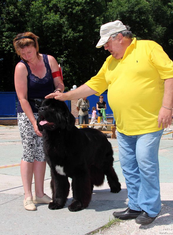 Фотография № 184773