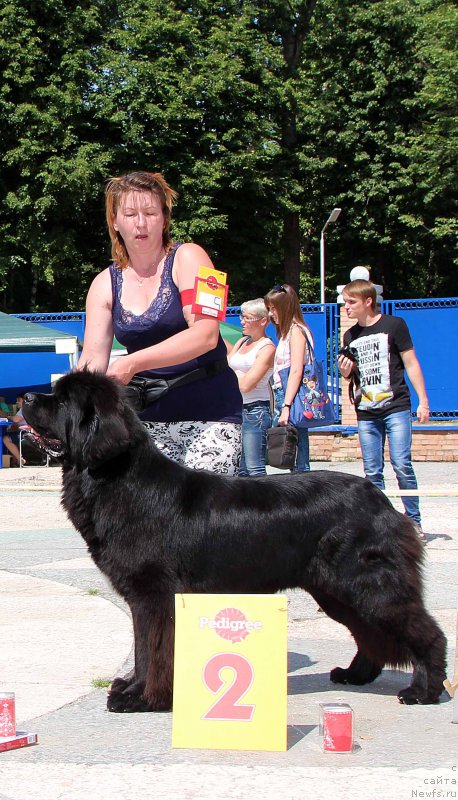 Фотография № 184776