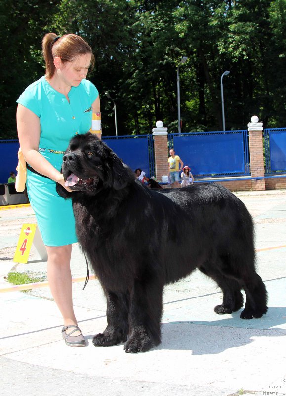 Фотография № 184778