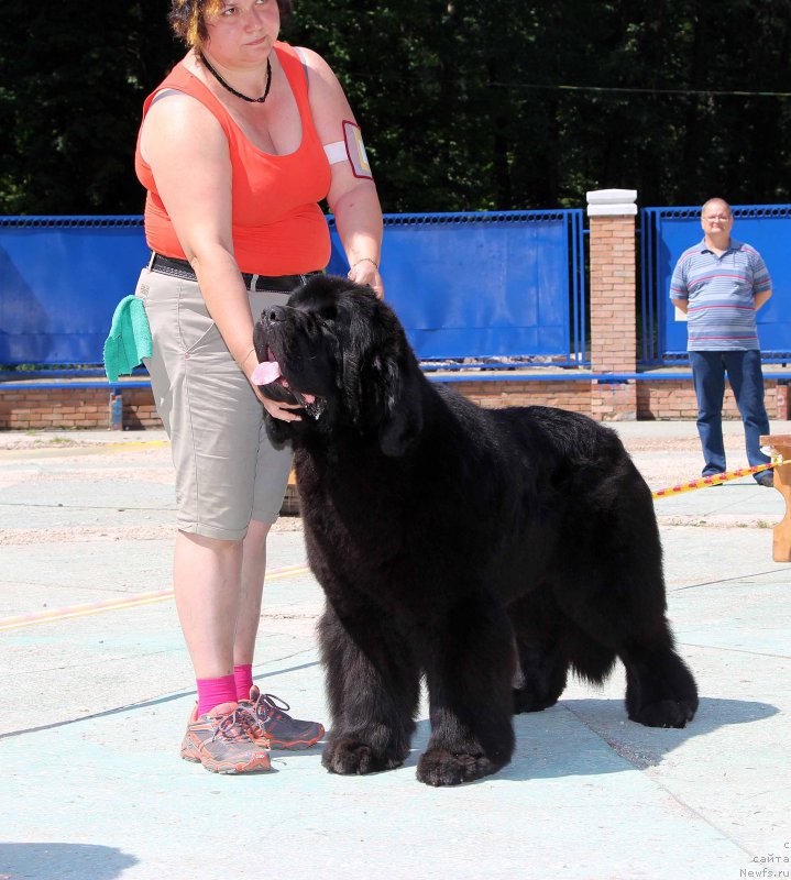 Фотография № 184779