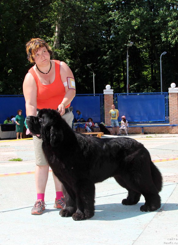 Фотография № 184780