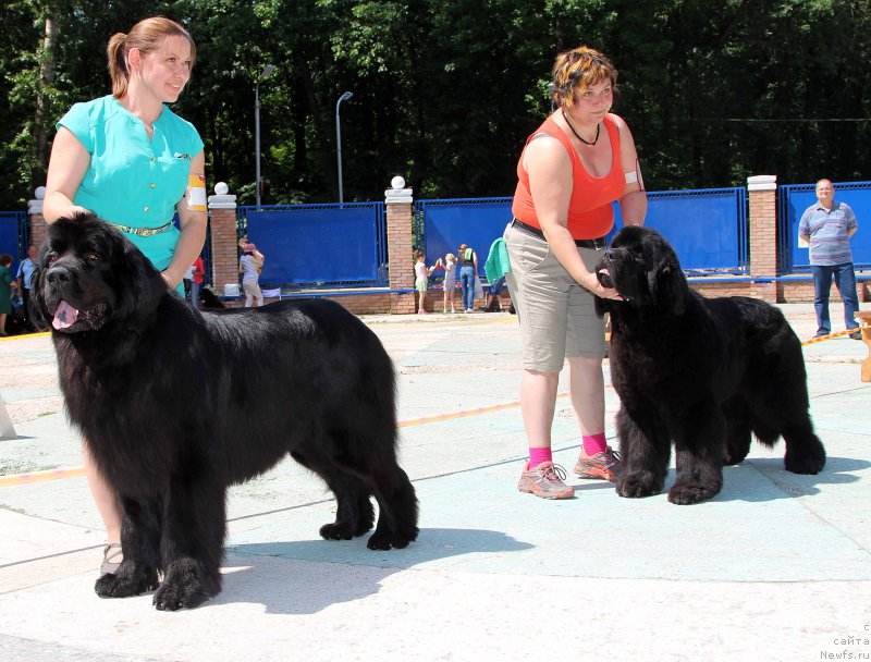 Фотография № 184783