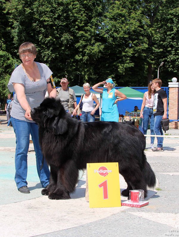 Фотография № 184784