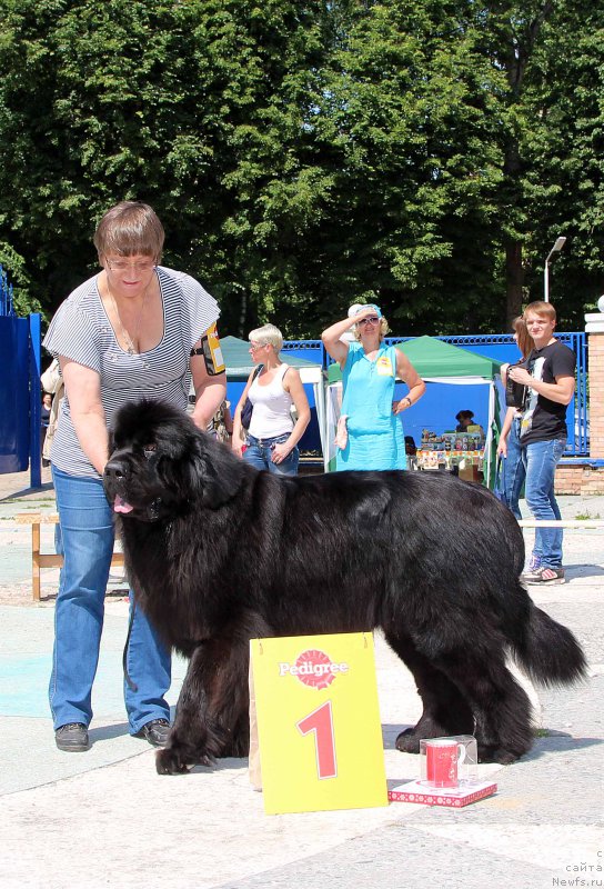 Фотография № 184785