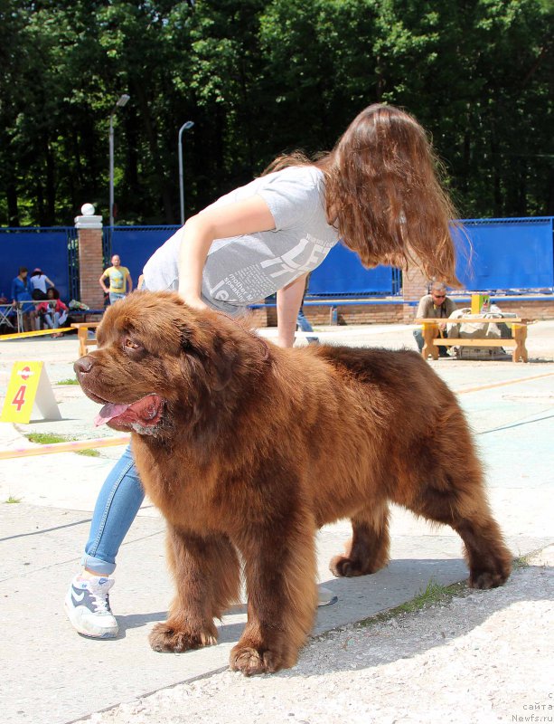 Фотография № 184786