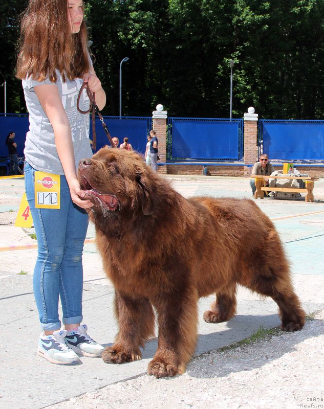 Фотография № 184787