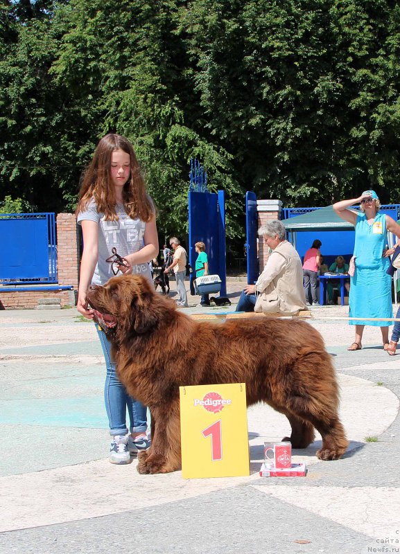 Фотография № 184788