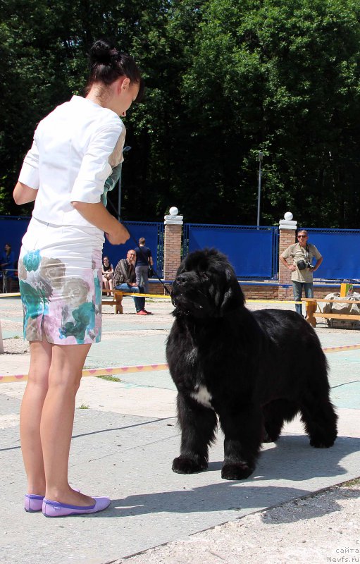 Фотография № 184789