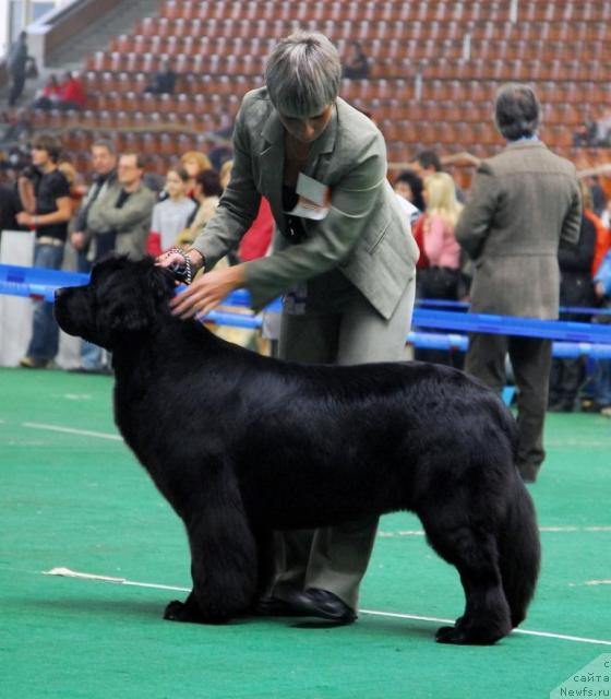 Фотография № 18479