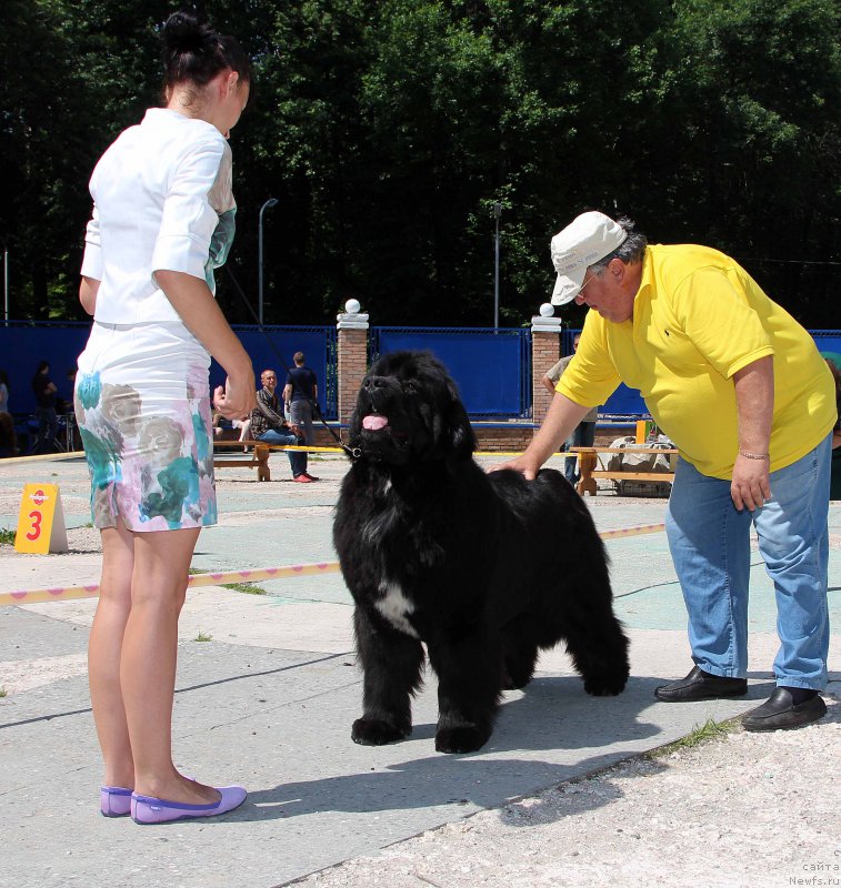 Фотография № 184790