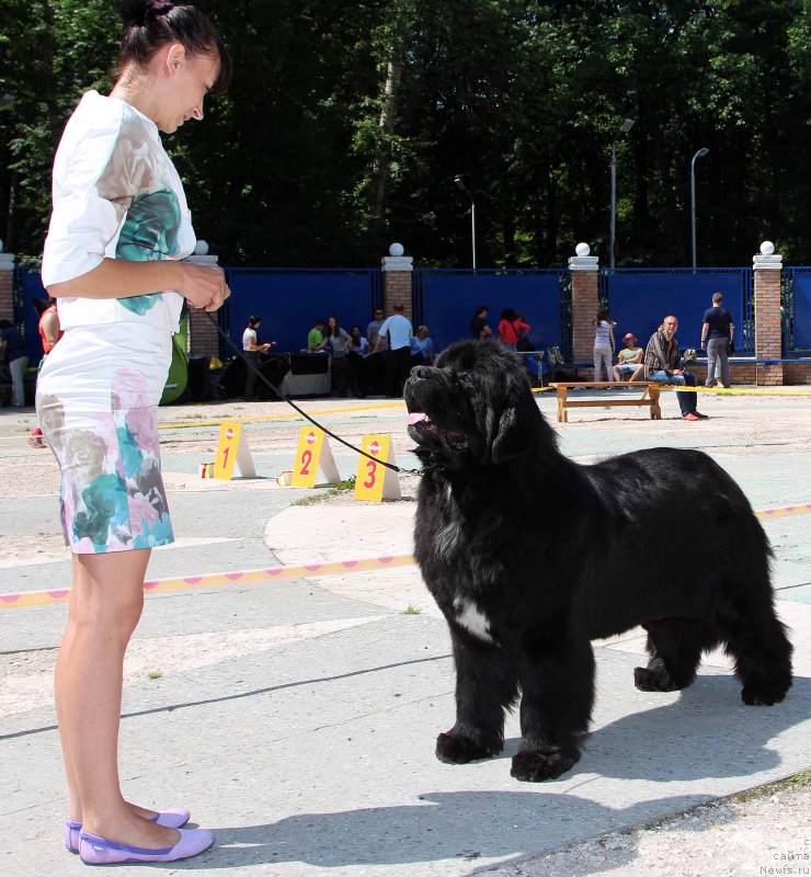 Фотография № 184791