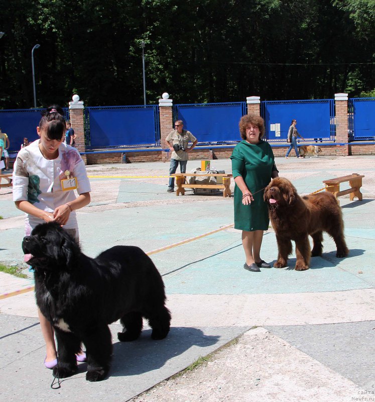 Фотография № 184792