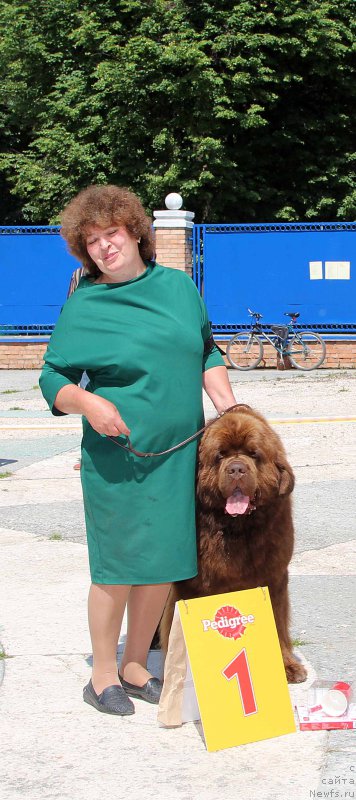 Фотография № 184793