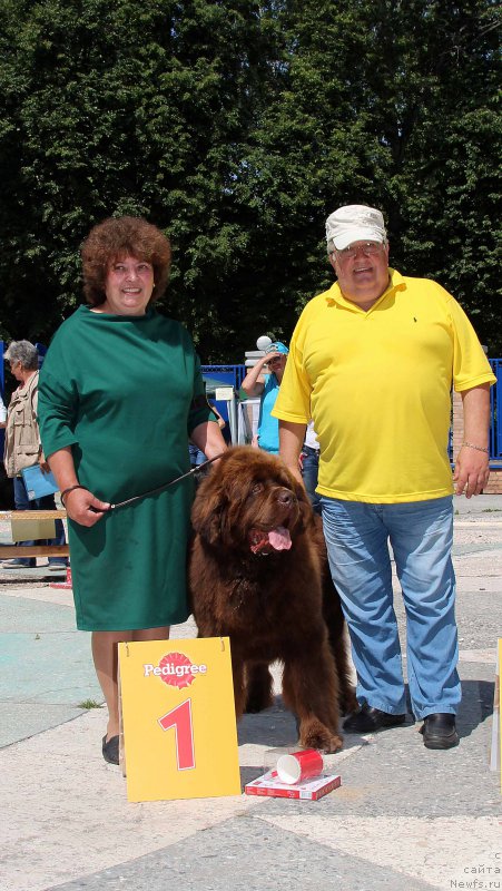 Фотография № 184794