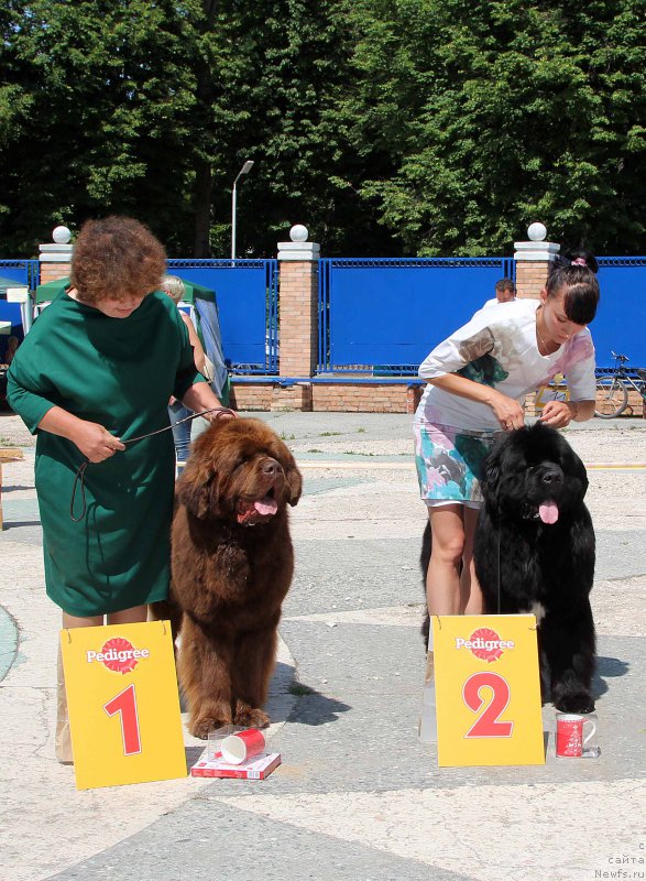 Фотография № 184795