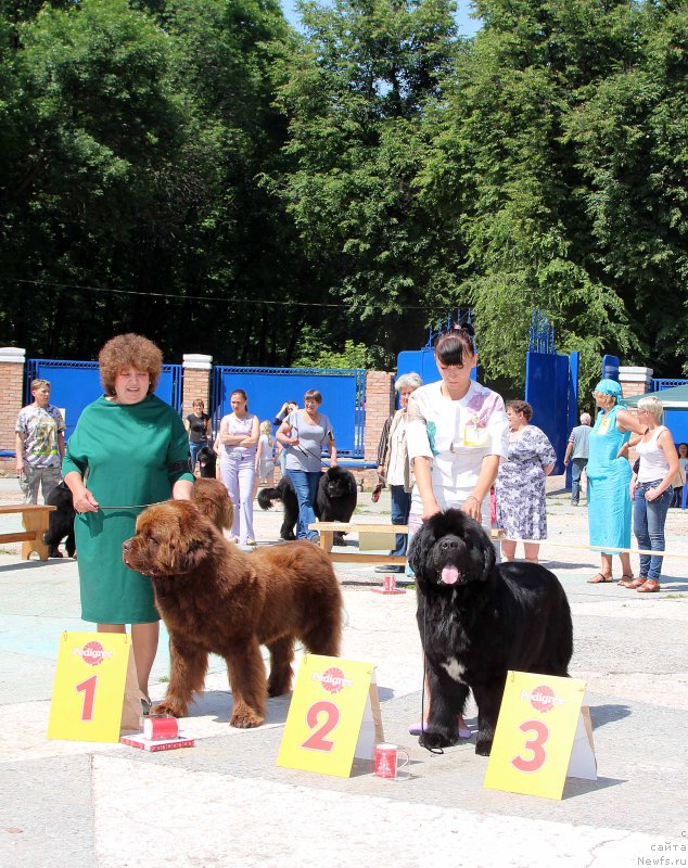 Фотография № 184796