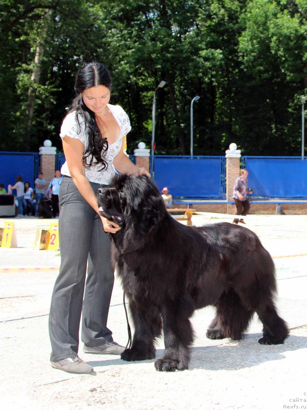 Фотография № 184798