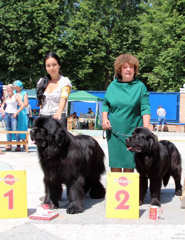 Фотография № 184799