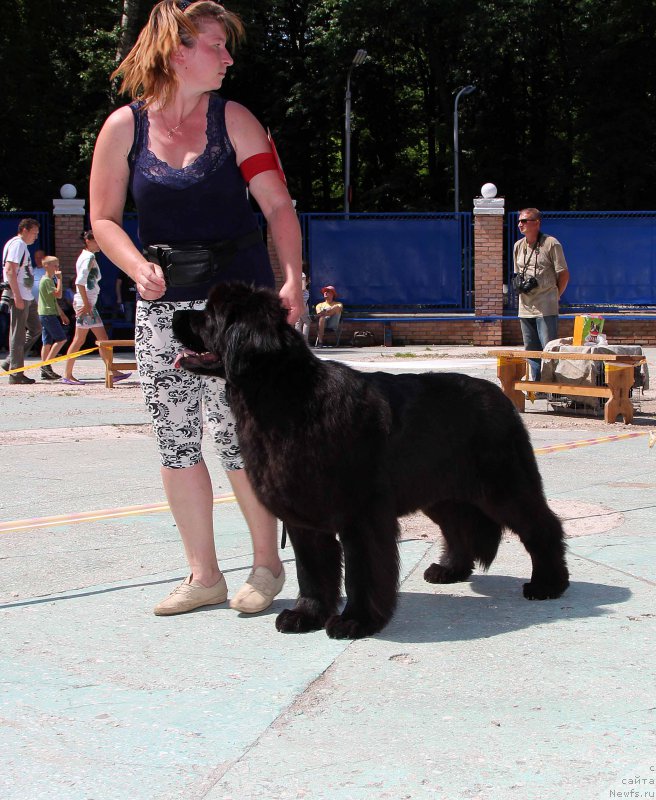 Фотография № 184800