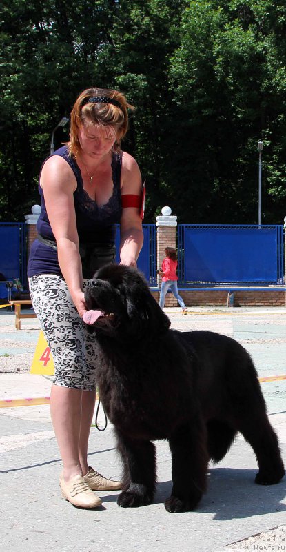 Фотография № 184801