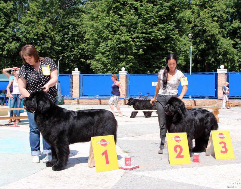 Фотография № 184805