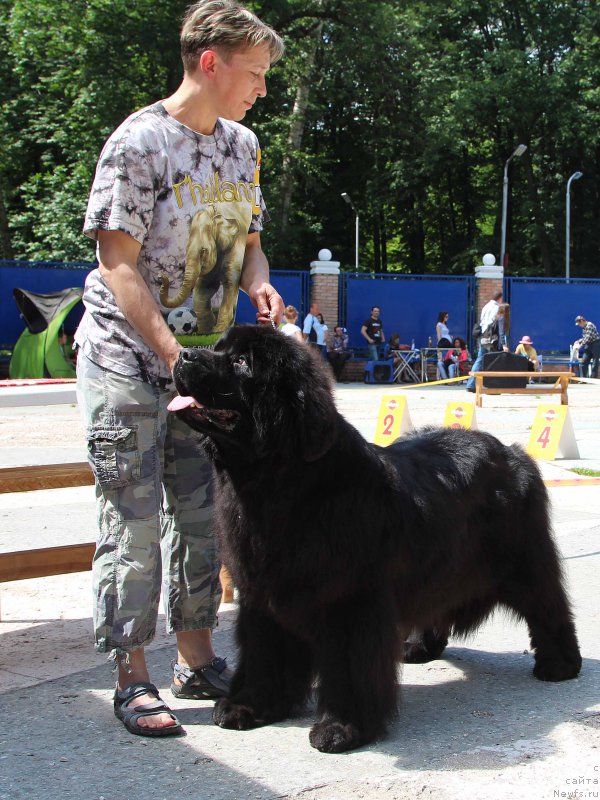 Фотография № 184807