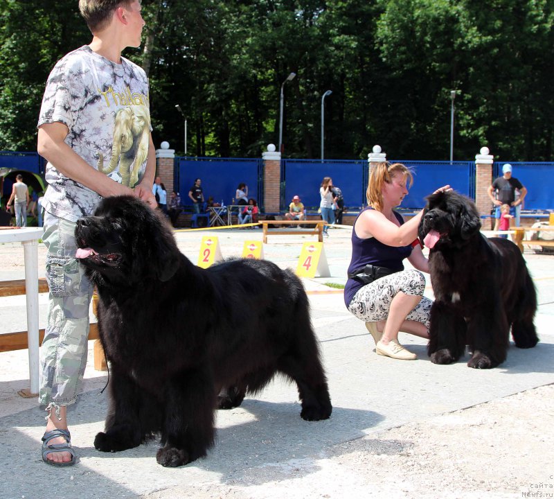 Фотография № 184808