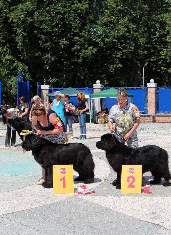 Фотография № 184810