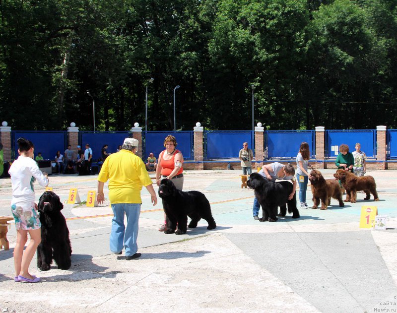 Фотография № 184811