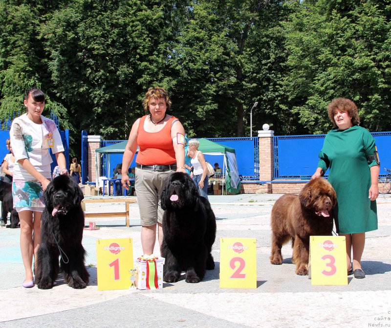 Фотография № 184812