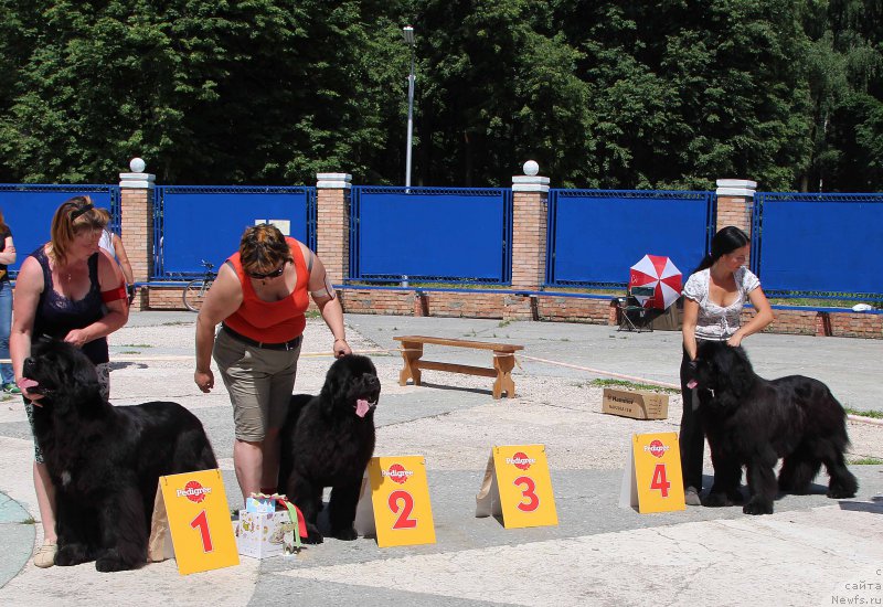 Фотография № 184813