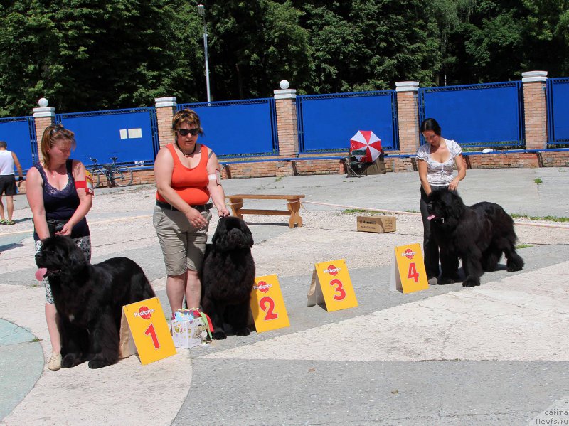 Фотография № 184814