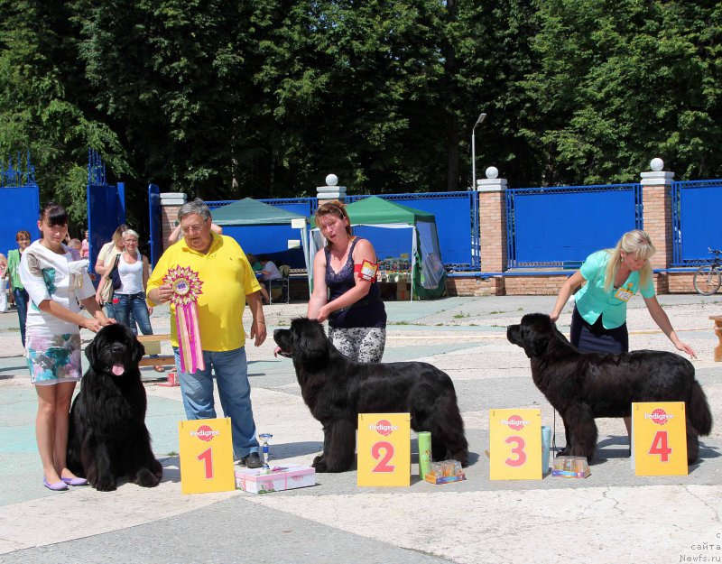 Фотография № 184815