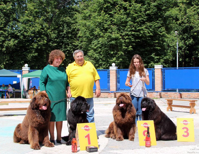 Фотография № 184817