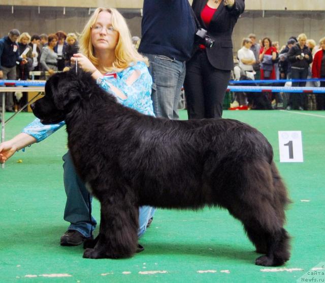 Фотография № 18482