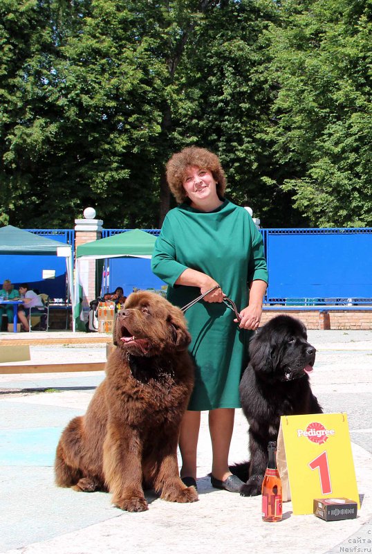 Фотография № 184821