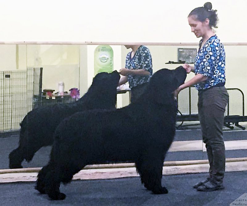 Фотография № 184826