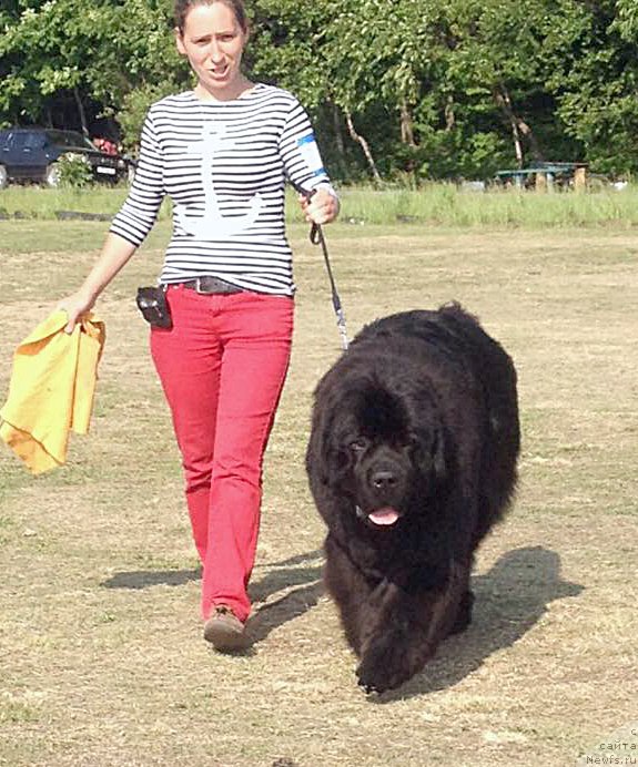 Фотография № 184827