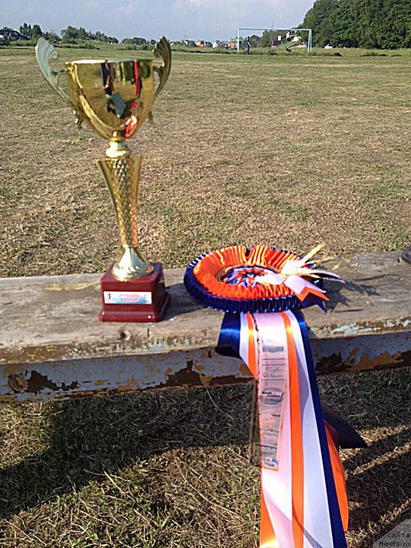 Фотография № 184828