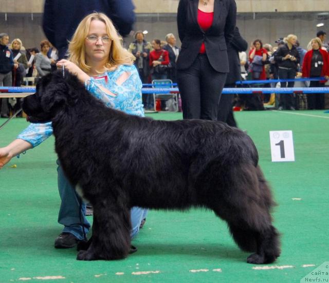 Фотография № 18483