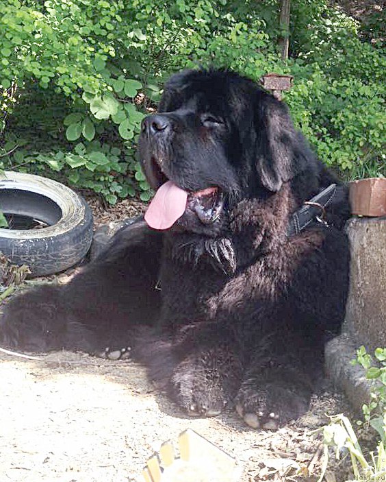 Фотография № 184830