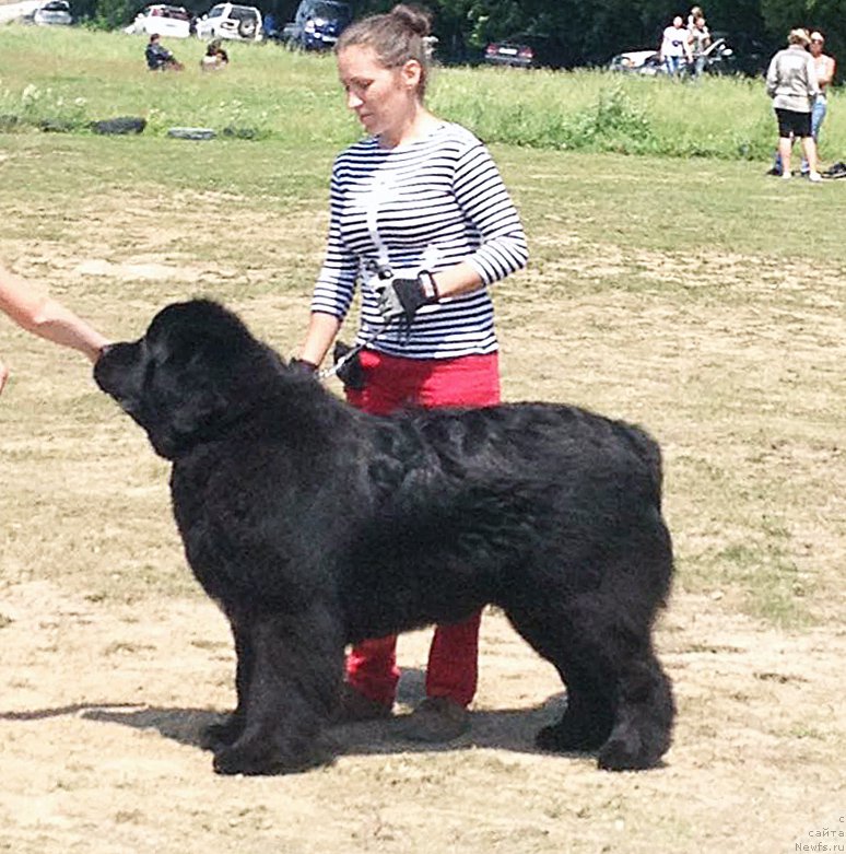 Фотография № 184831