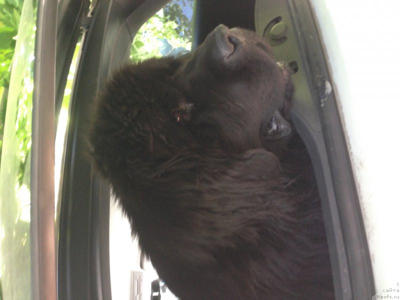 Фотография № 184836