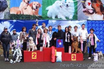 Фотография № 184842