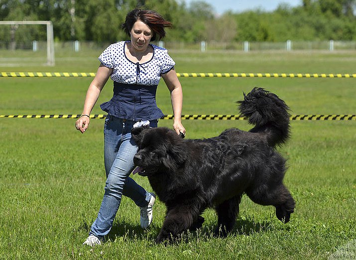 Фотография № 184846