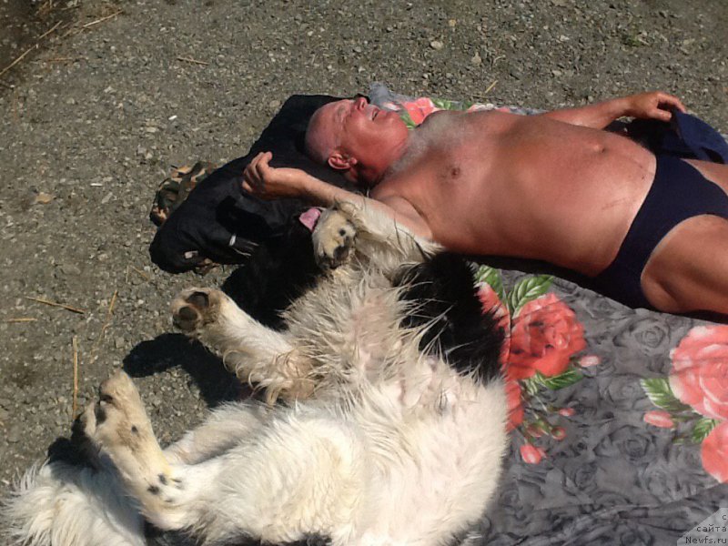 Фотография № 184854