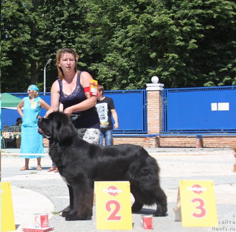 Фотография № 184860